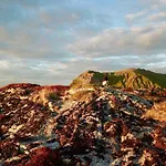 Vakantiehuis Lofoten Troll View *