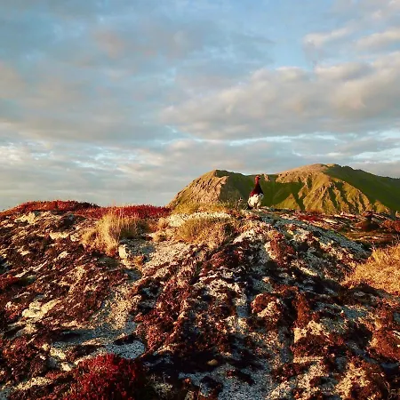 Vakantiehuis Lofoten Troll View *